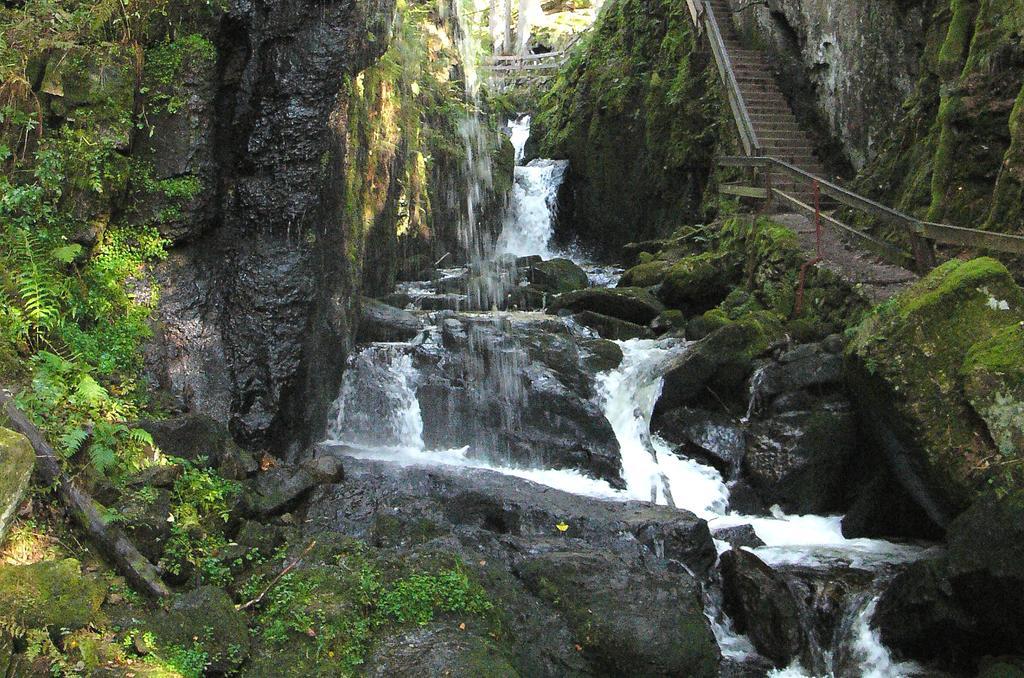 Ferienwohnungen Sternenthal Менценшванд Экстерьер фото