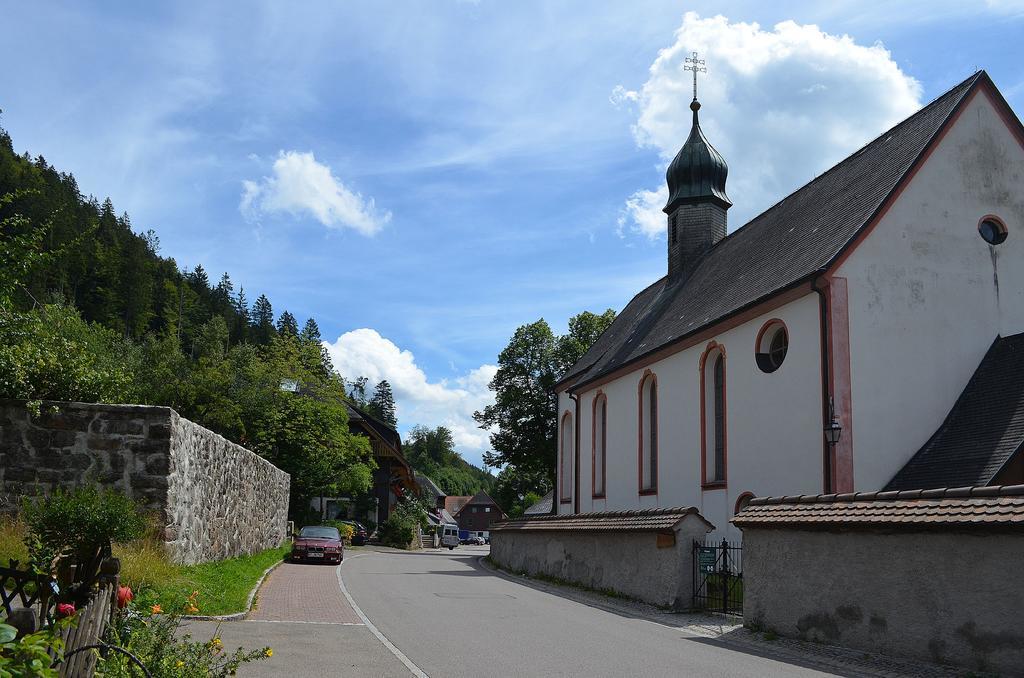 Ferienwohnungen Sternenthal Менценшванд Экстерьер фото