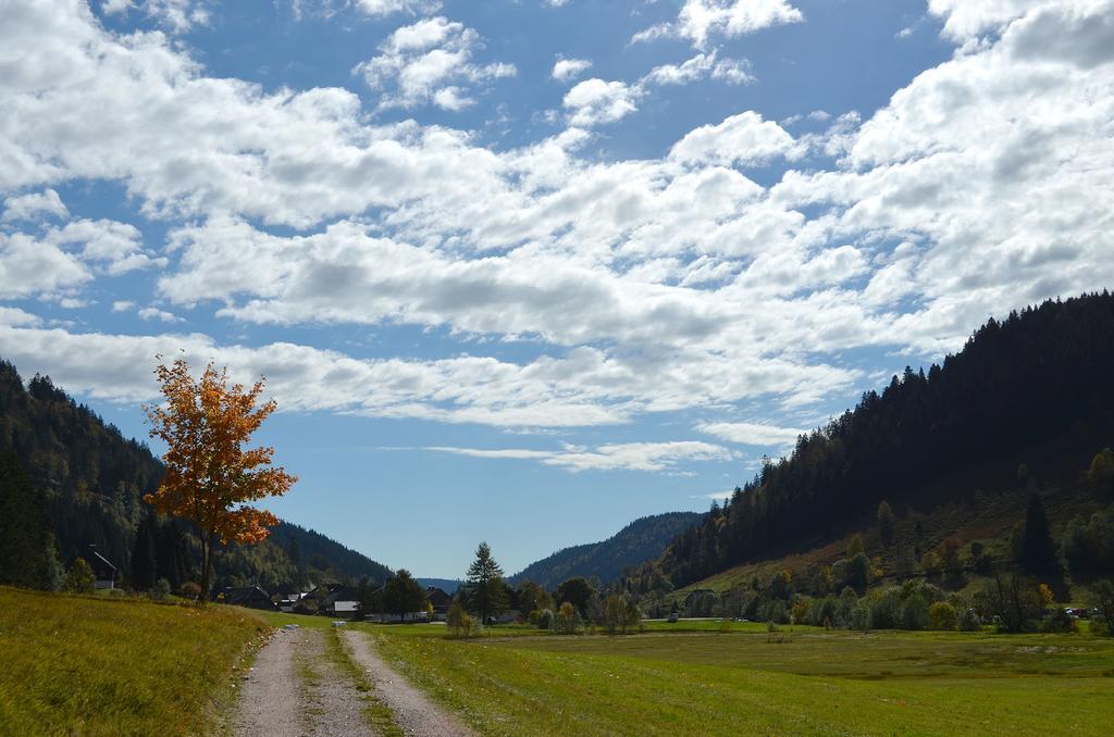 Ferienwohnungen Sternenthal Менценшванд Экстерьер фото