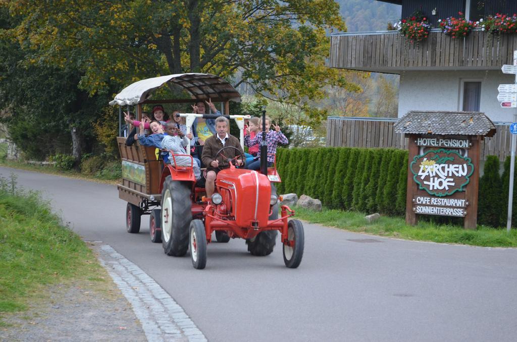 Ferienwohnungen Sternenthal Менценшванд Экстерьер фото