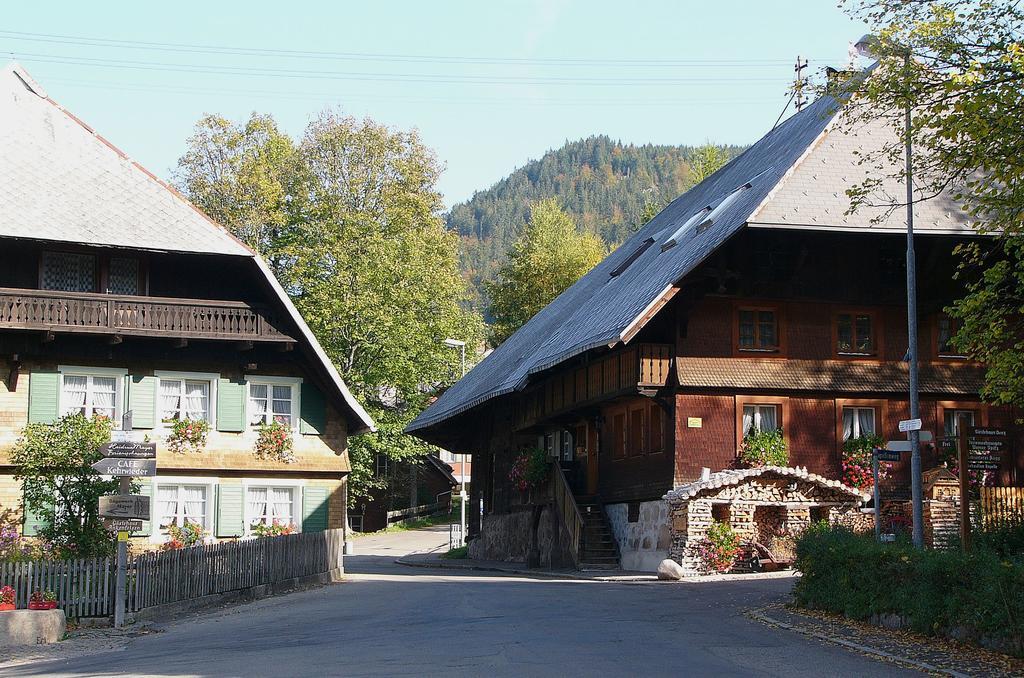 Ferienwohnungen Sternenthal Менценшванд Экстерьер фото