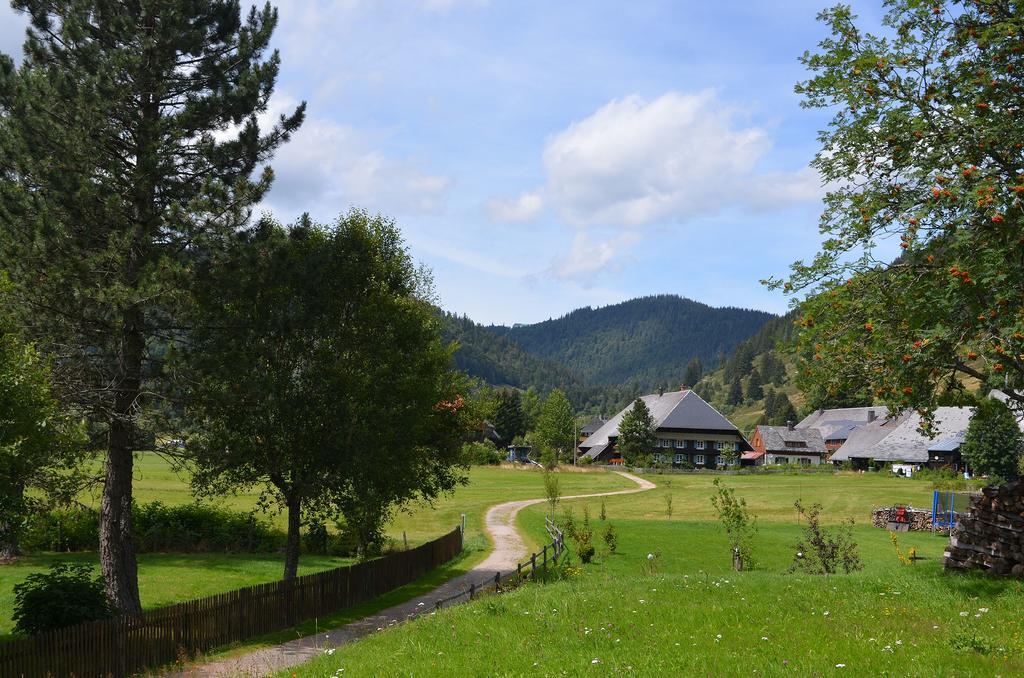 Ferienwohnungen Sternenthal Менценшванд Экстерьер фото