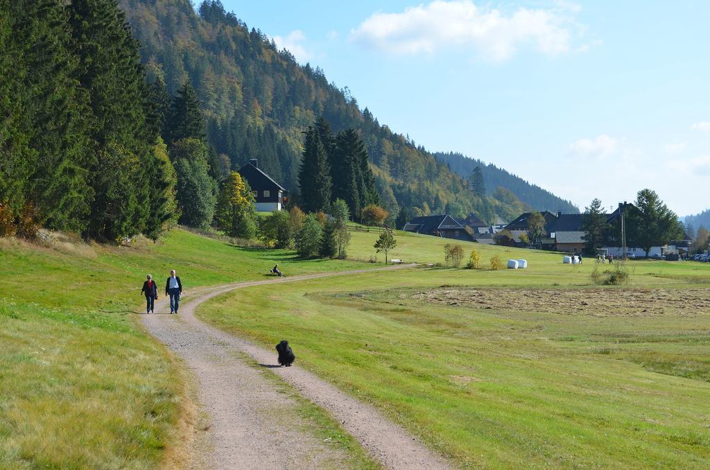 Ferienwohnungen Sternenthal Менценшванд Экстерьер фото