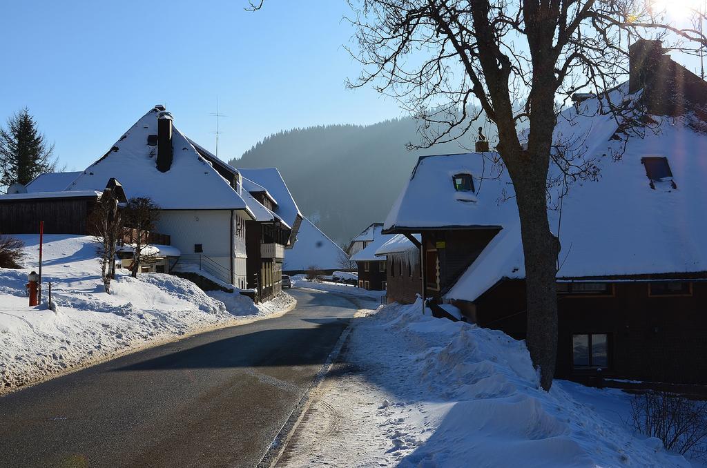 Ferienwohnungen Sternenthal Менценшванд Экстерьер фото
