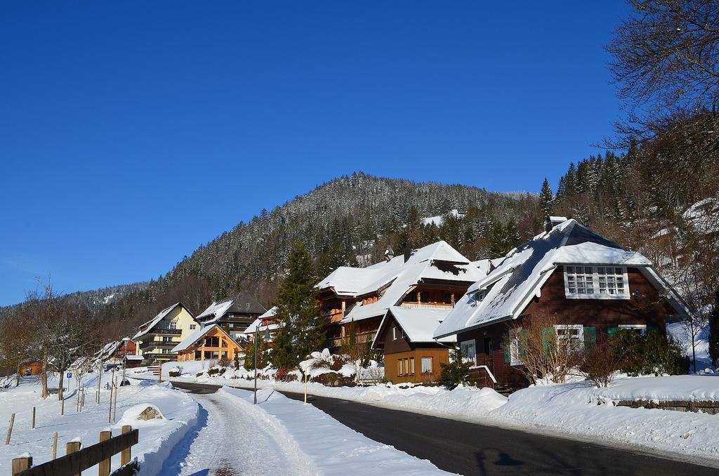 Ferienwohnungen Sternenthal Менценшванд Экстерьер фото